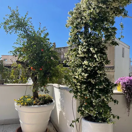#soloperte Apartment